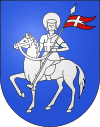 Coat of arms of Vallemaggia District