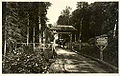 Camp Uncas