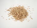 Poa pratensis seeds 20101113.jpg