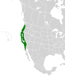 Chamaea fasciata map.svg