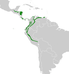 Myrmotherula schisticolor map.svg