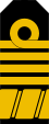 POL PMW pagon1 admirał.svg