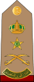 Fariq