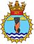 INAS 321 insignia.jpg