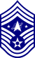 USSF SEASF.svg