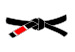 BJJ BlackBelt.svg
