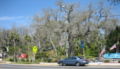 Fort Walton Mound