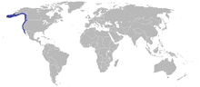 English Sole Distribution Map.png