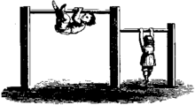 Gerald Quinn ChinUp Bar Clip Art.png