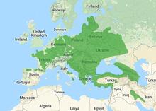 Middle Spotted Woodpecker (Leiopicus medius) new distribution map.png