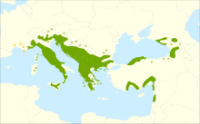 Ostrya carpinifolia range.svg