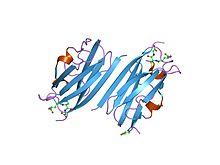PDB 2brq EBI.jpg