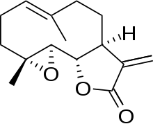 Parthenolide correct stereochemistry.svg