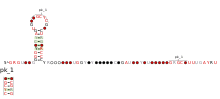 RF00507-rscape.svg