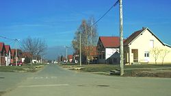 Bogdanovci ulica Matije Gupca.jpg