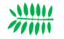 Leaf morphology even pinnate.png