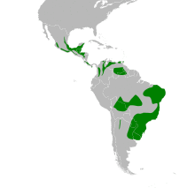 Basileuterus culicivorus map.svg