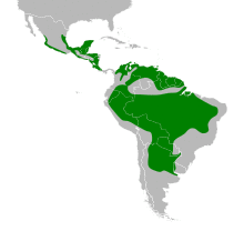 Saltator coerulescens map 2.svg