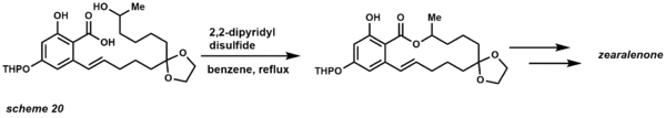 macrolactonization total synthesis example