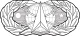 USAF - Occupational Badge - Space and Missile.svg