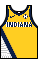 Kit body indianapacers statement.png