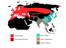 ParusMap.svg