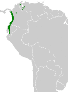 Touit dilectissimus map.svg