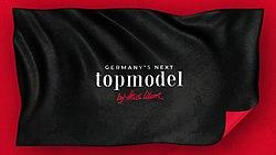 Germany's Next Top Model 2021 logo.jpg
