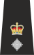CSupt Epaulette.svg