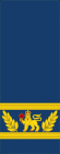 Royal Canadian Air Force sleeves (Commander-in-Chief of the Canadian Armed Forces).svg