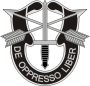 SpecialForces Badge.svg