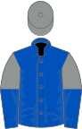 Royal blue, grey and royal blue halved sleeves, grey cap