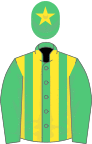 EMERALD GREEN and YELLOW STRIPES, emerald green sleeves, yellow star on cap