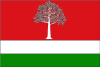 Flag of El Fresno