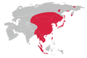 Buteo Japonicus range map.png
