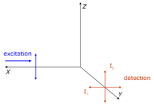 Fluorescence Polarization Anisotropy.png