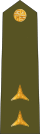 CzArmy 2011 OF1b-Poruchik shoulder.svg