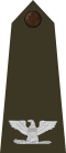 US Army O6 (Army greens).svg