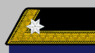 K.u.k. Kadett-Offziersstellvertreter bis 1908.png
