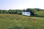 Fort Pierre Grassland pond.jpg
