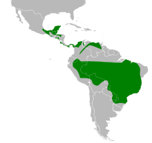 Dromococcyx phasianellus map.svg