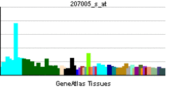 PBB GE BCL2 207005 s at.png