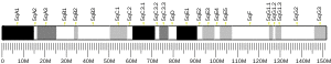 Chromosome 5 (mouse)