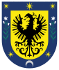 Coat of arms of Concepción