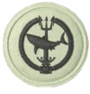 SANDF Qualification Attack Diver badge embossed.png