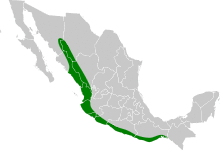 Amazona finschi map.svg