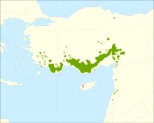 Cedrus libani range.svg