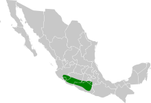Megascops seductus map.svg