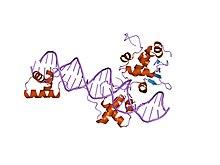PDB 1mdm EBI.jpg