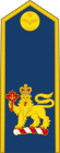 Royal Canadian Air Force (Commander-in-Chief of the Canadian Armed Forces).svg